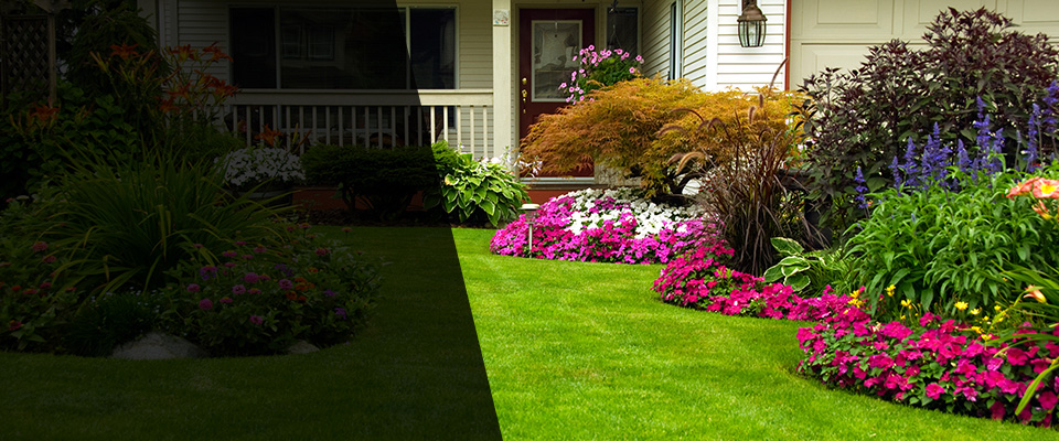 Anna Landscapers